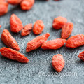 Erstklassige organische rote goji Beeren für Gesundheit